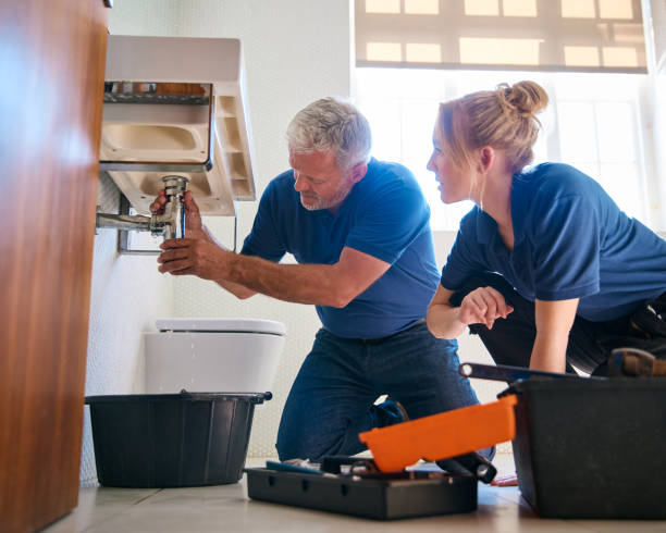 Best Gas Line Repair  in Selmont West Selmont, AL
